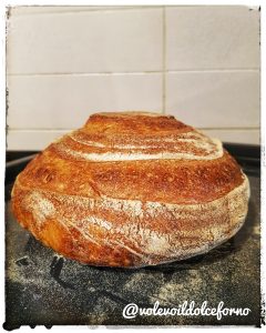 Pagnotta con licoli
